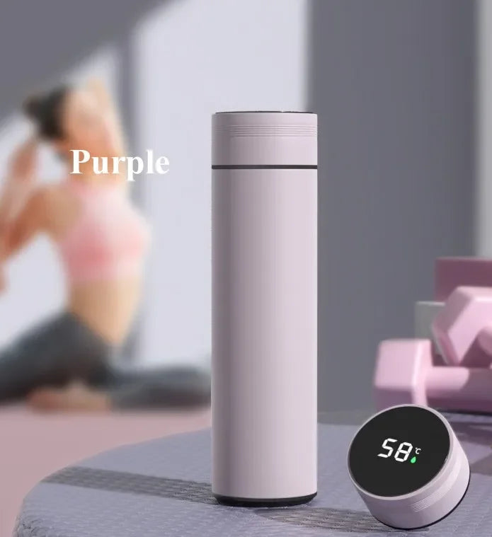 Sleek 500ML Smart Temperature Display Insulated Thermos Bottle